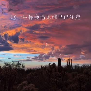 這一生你會遇見誰早已註定 海報