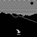 Prey (Album Version)专辑