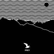 Prey (Album Version)