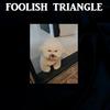 Foolish Triangle - Cat Meows