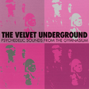 Psychedelic Sounds From The Gymnasium