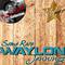 Some Rare Waylon Vol. 1 - [The Dave Cash Collection]专辑