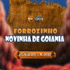 Willian No Beat - Forrozinho Novinha de Goiania