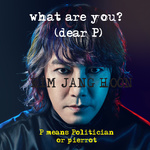 What are you? (dear P. Politician or Pierrot)专辑