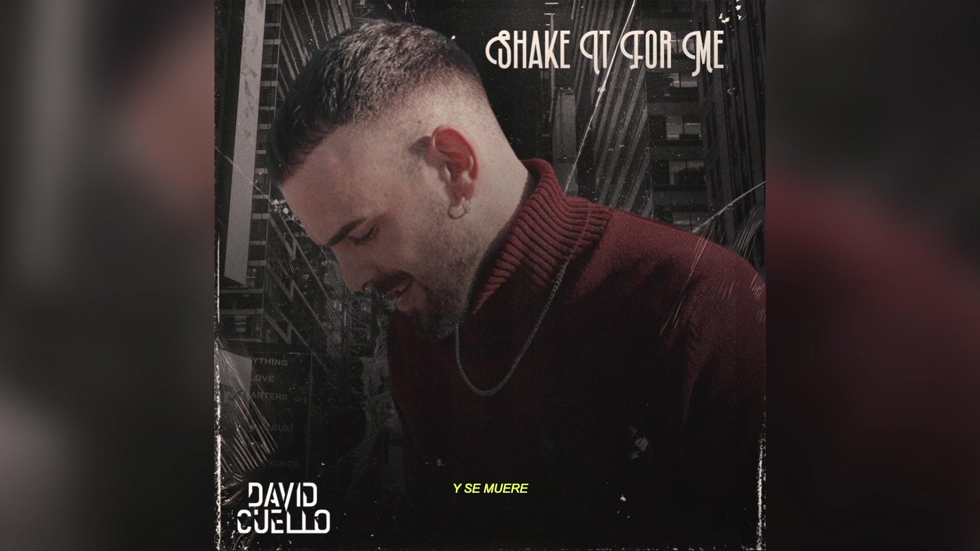 David Cuello - Shake It For Me (Lyric Video)