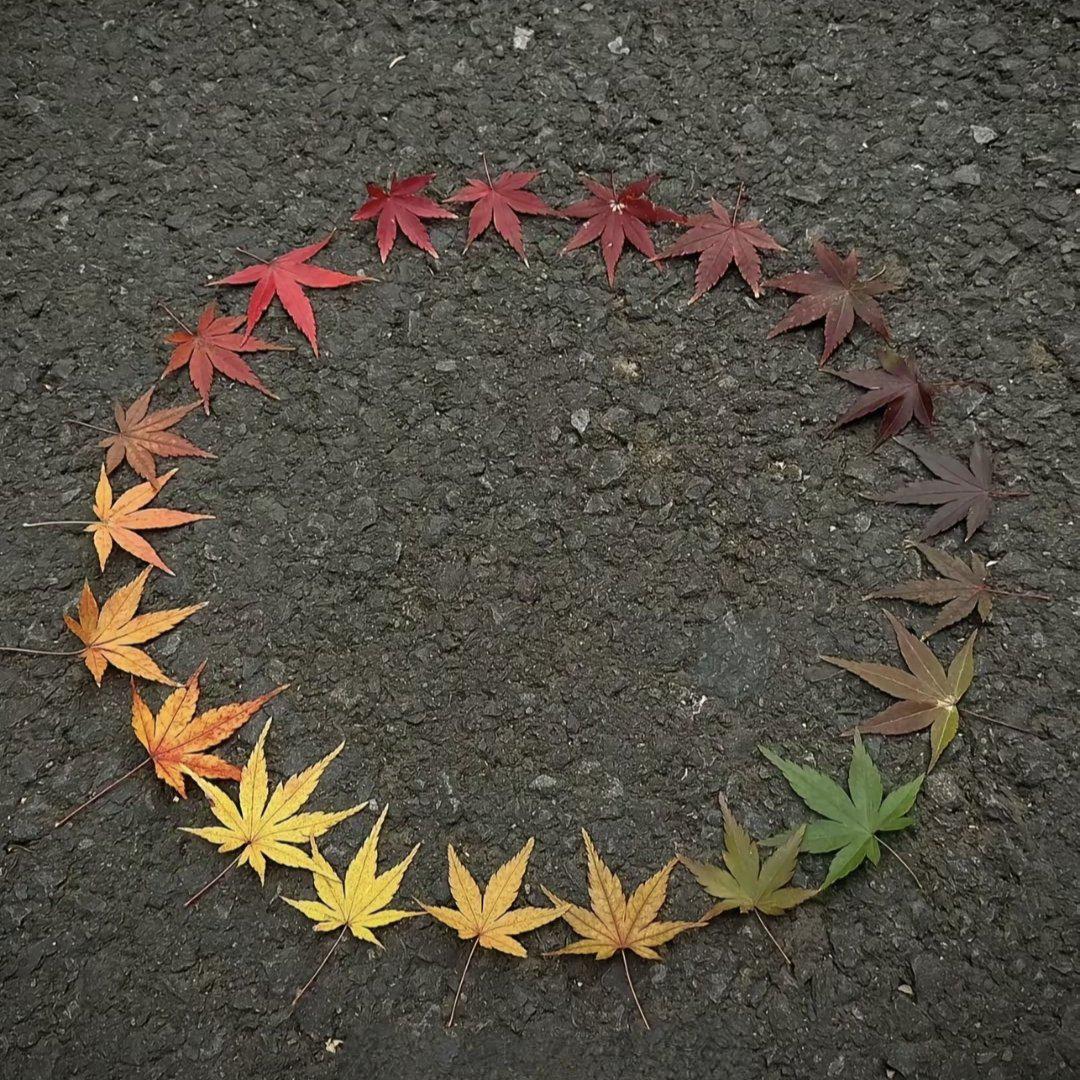 休斯顿音符