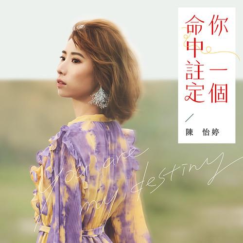 命中註定你一個 海報