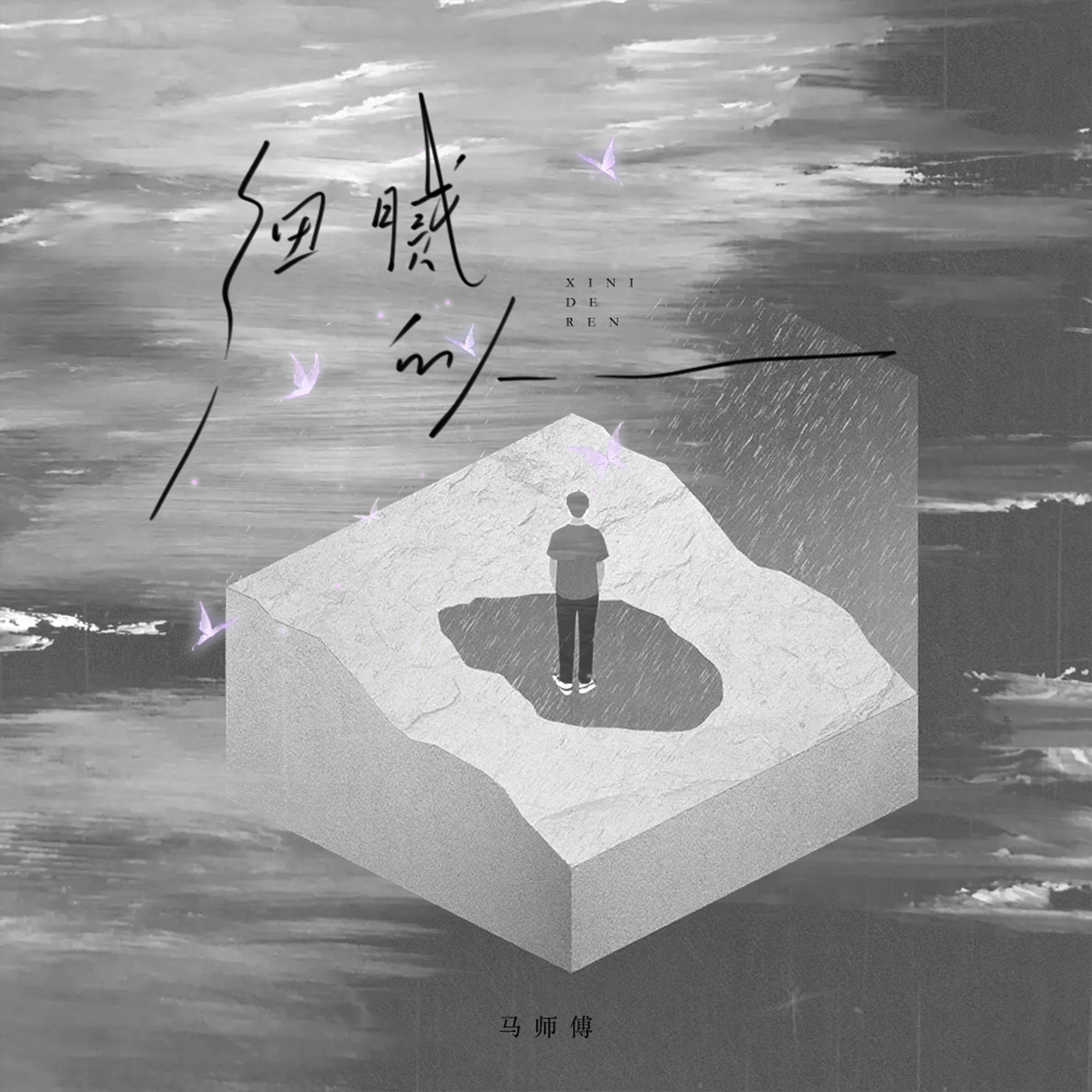 细腻的人 海报