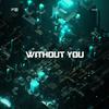 柳李 Atom Panda - Avicii-WIthout You - (柳李 Atom Panda remix）