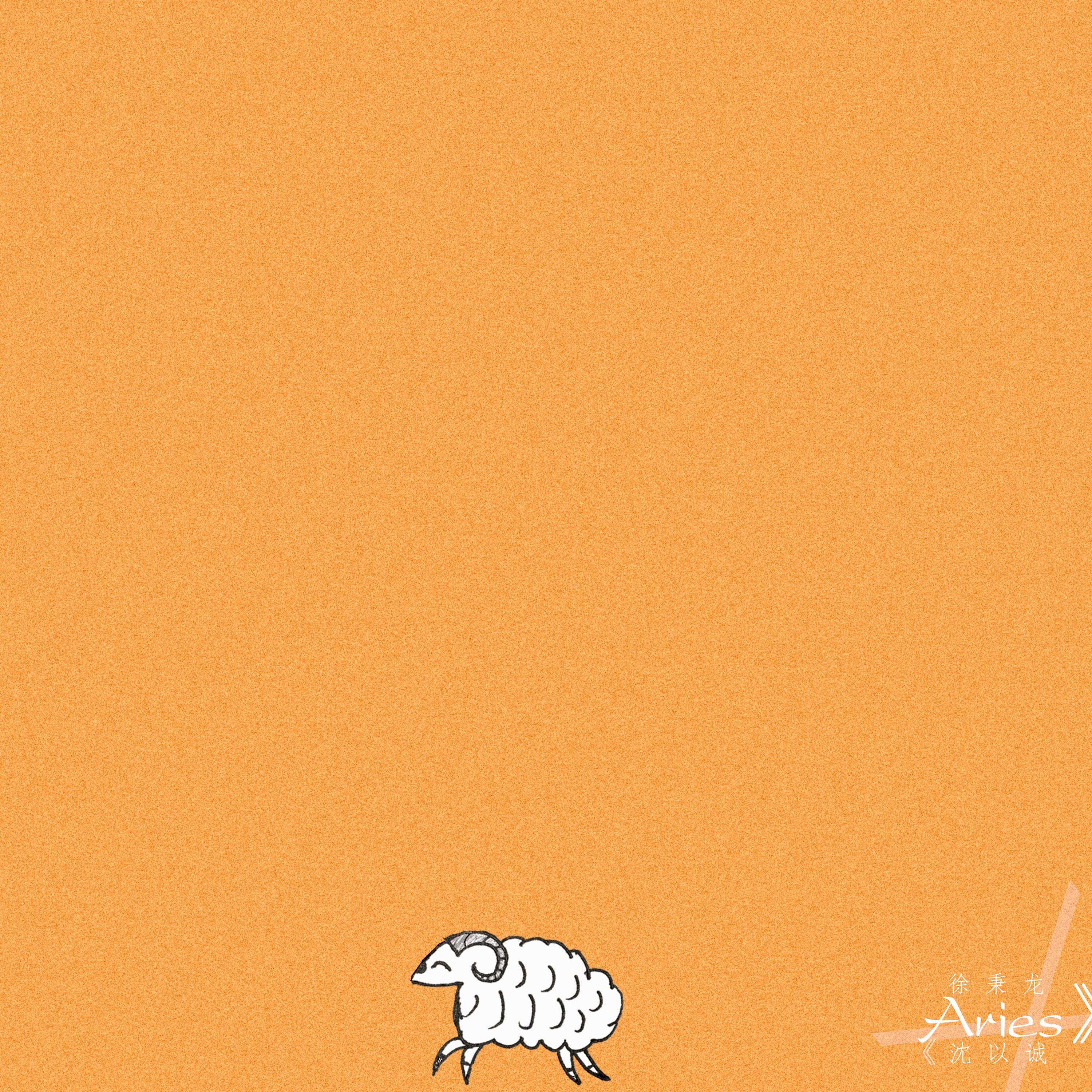 白羊 banner