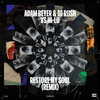 Adam Beyer - Restore My Soul (HI-LO Remix)