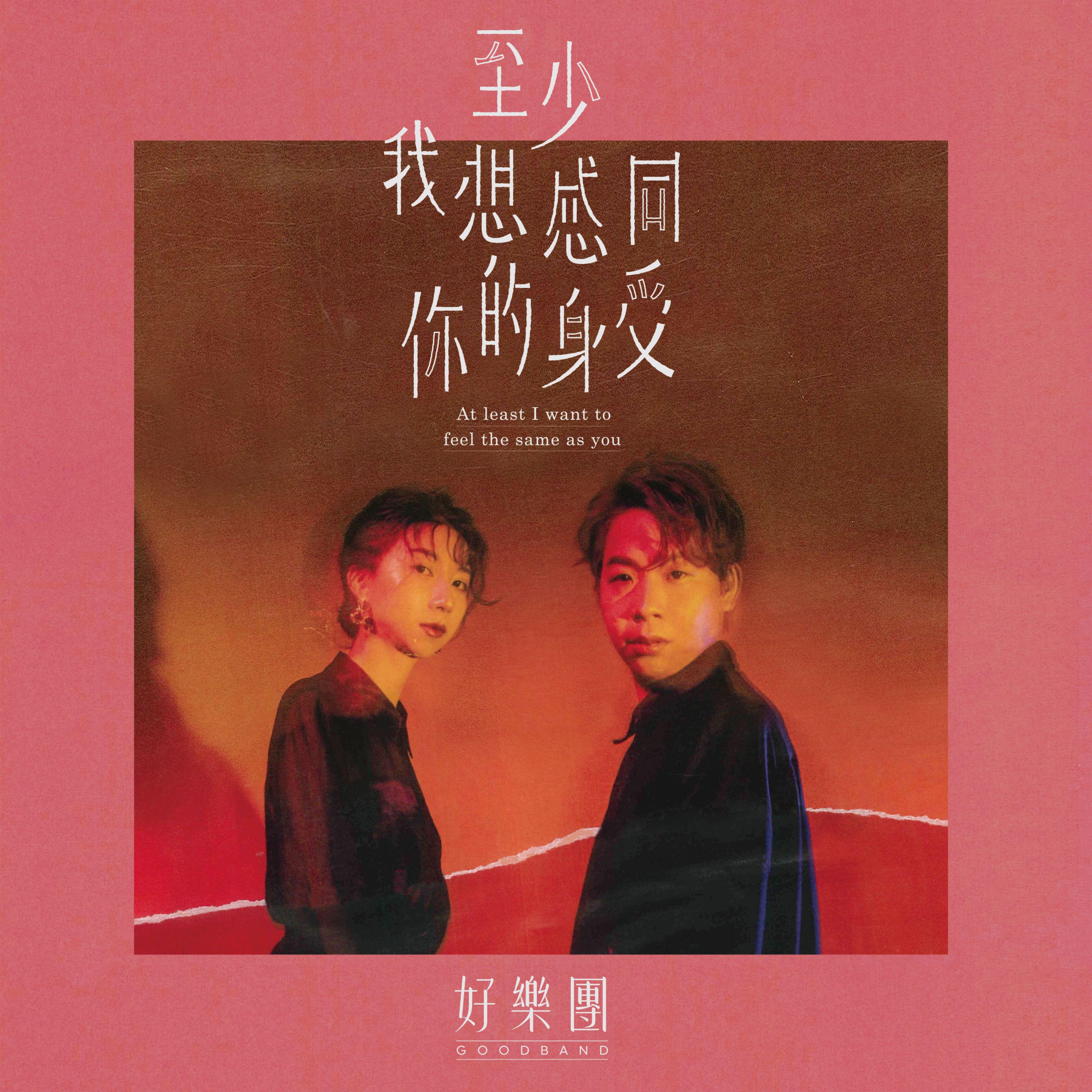 我愛你，卻不能拯救你 海報