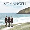 Vox Angeli - New Soul