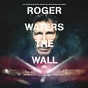 Roger Waters The Wall (Live)
