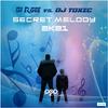 DJ R.Gee - Secret Melody 2k21 (Tronix DJ Extended Remix)