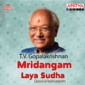 Mridangam Laya Sudha专辑