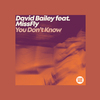 David Bailey - You Don't Know (Instrumental Edit)
