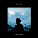 Terrified (Zikomo Remix)专辑