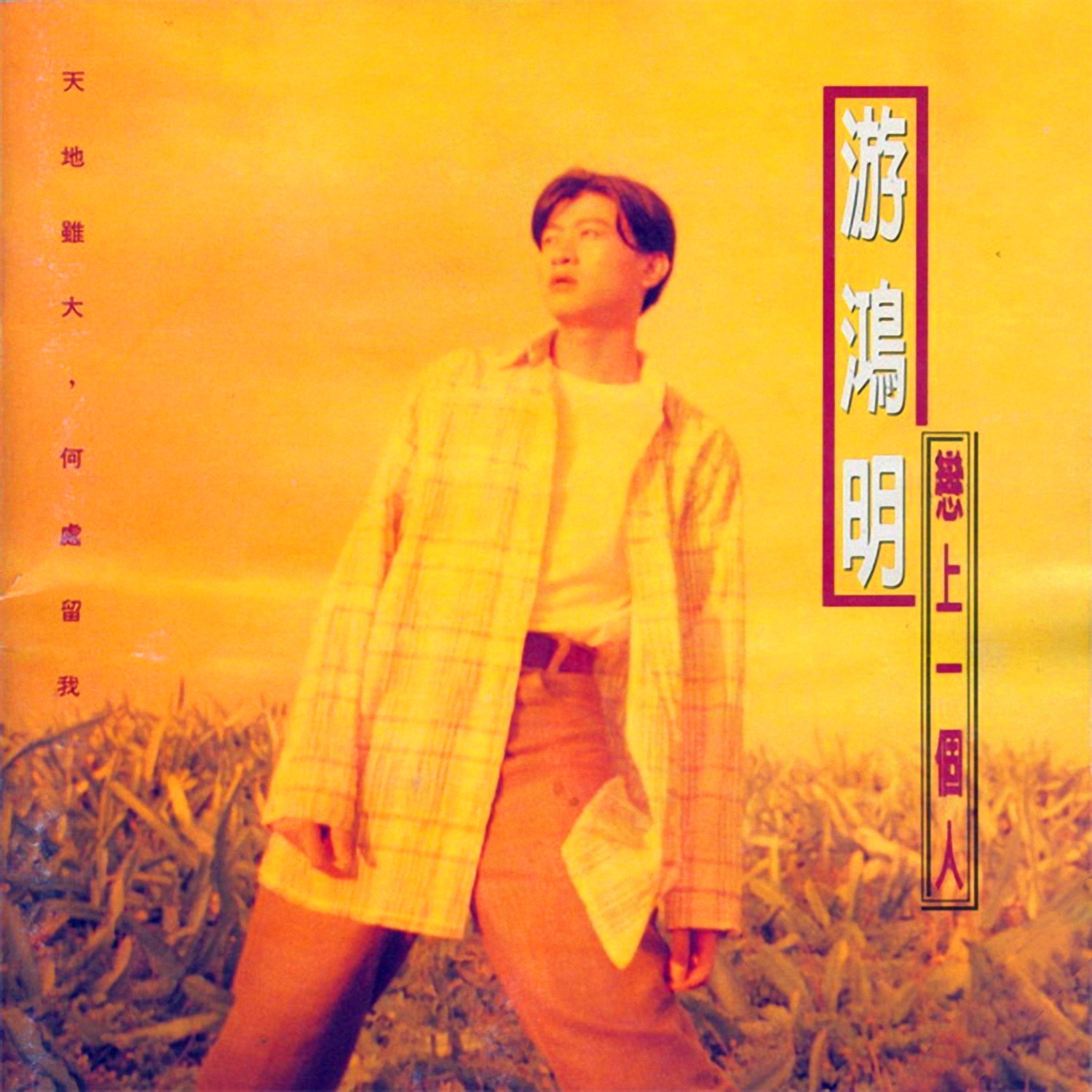 戀上一個人 海報