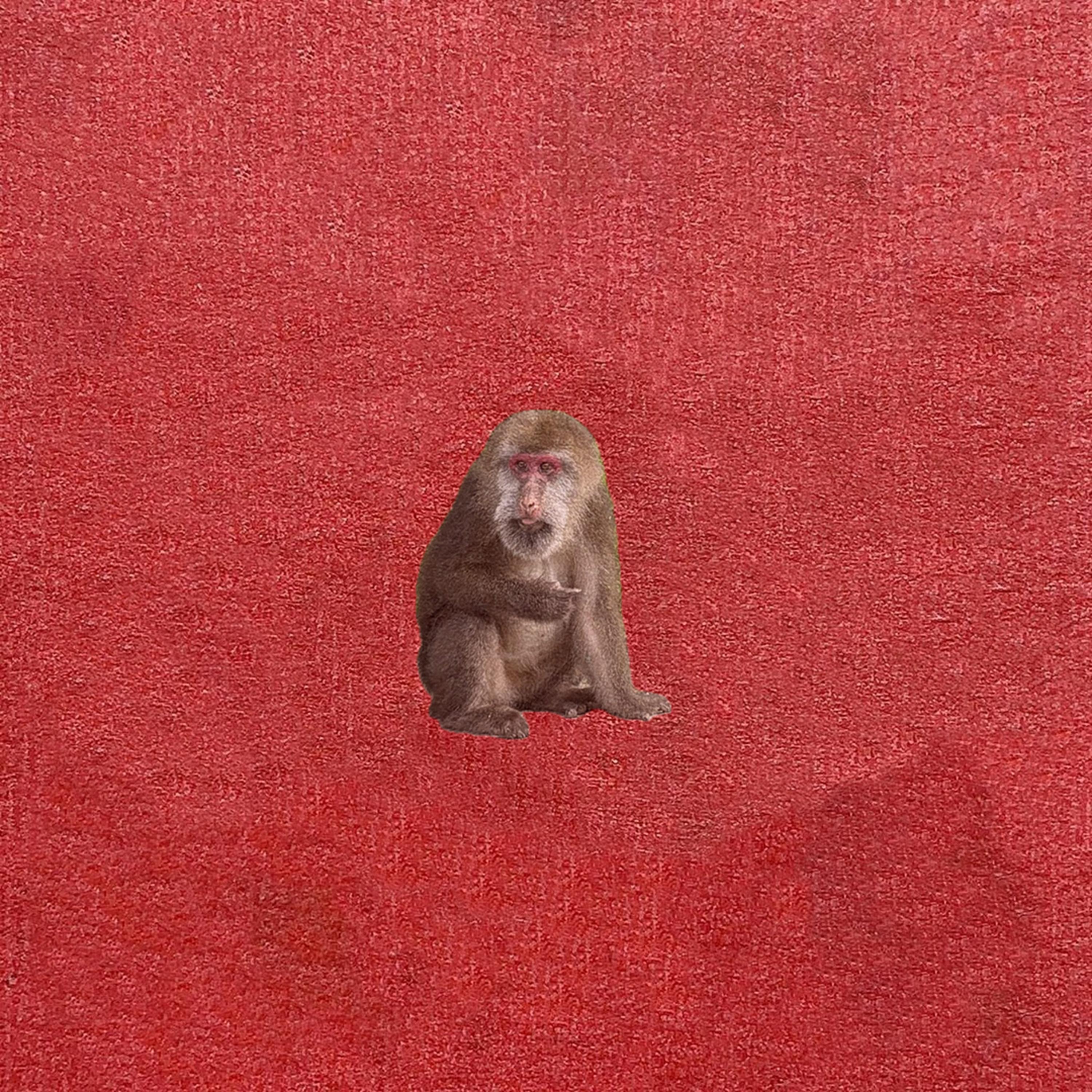 過去來的人 banner