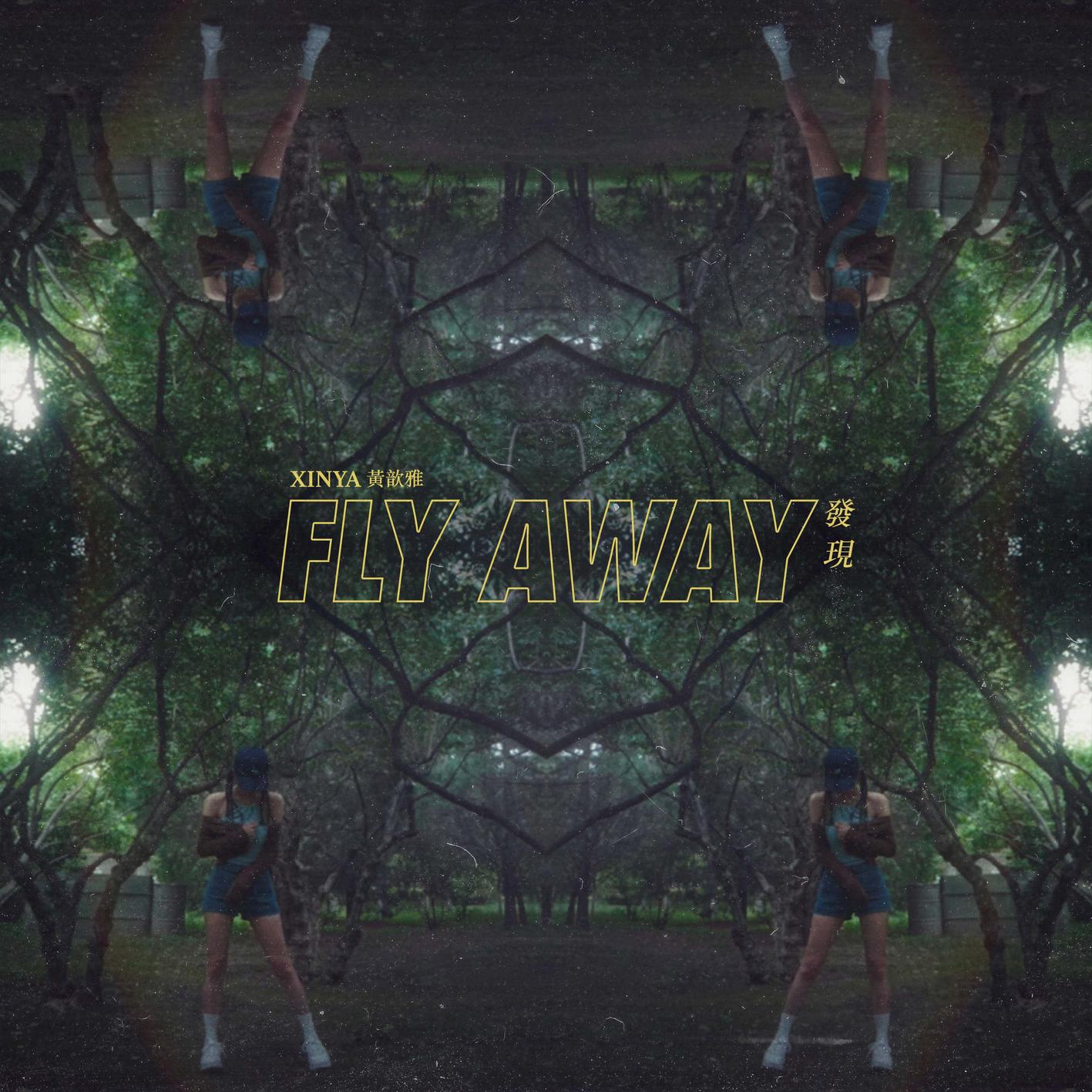 发现 (Fly Away)专辑