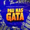 Dj DRAKE FXP - Pau nas Gata