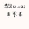 Hobo - Male di miele