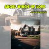 John Anderson - Angel Wings of Love