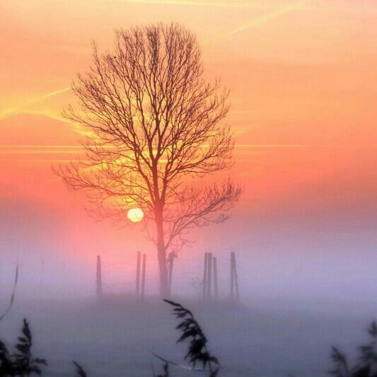 世界最悲伤的纯音乐