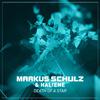 Markus Schulz - Death of a Star (Extended Mix)