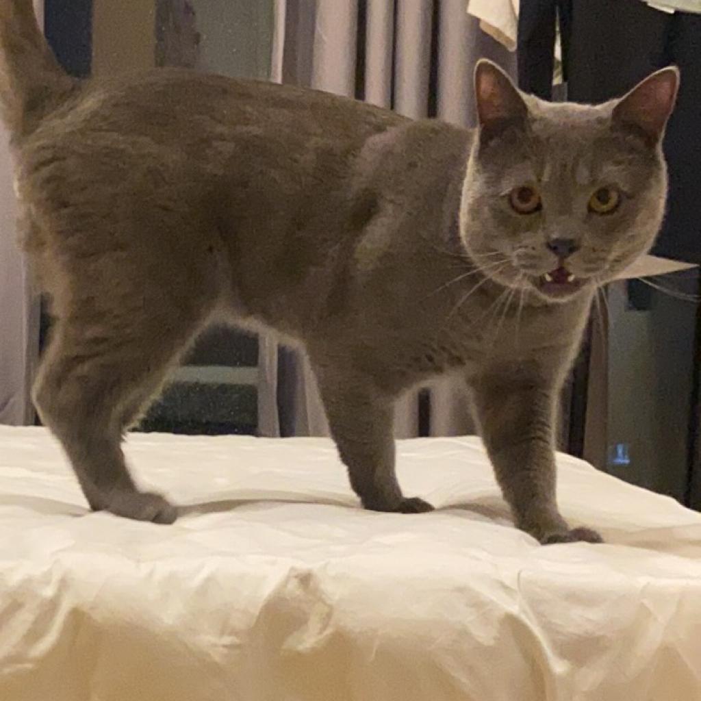 everybody jump - 歌单 - 网易云音乐