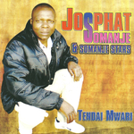 Tendai Mwari专辑