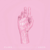 Clara Luzia - Survival