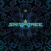 Shivatree - The Vision