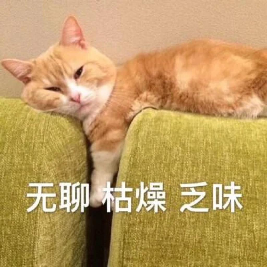 猫猫毛没干