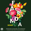 Rochy RD - El Aroma (Remix)