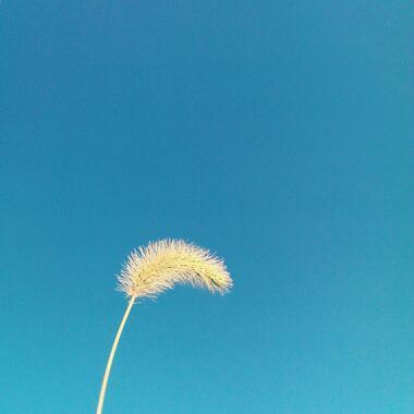 美剧lost中的一首歌曲_音乐_奇飞知识网