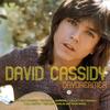 David Cassidy - I Am a Clown