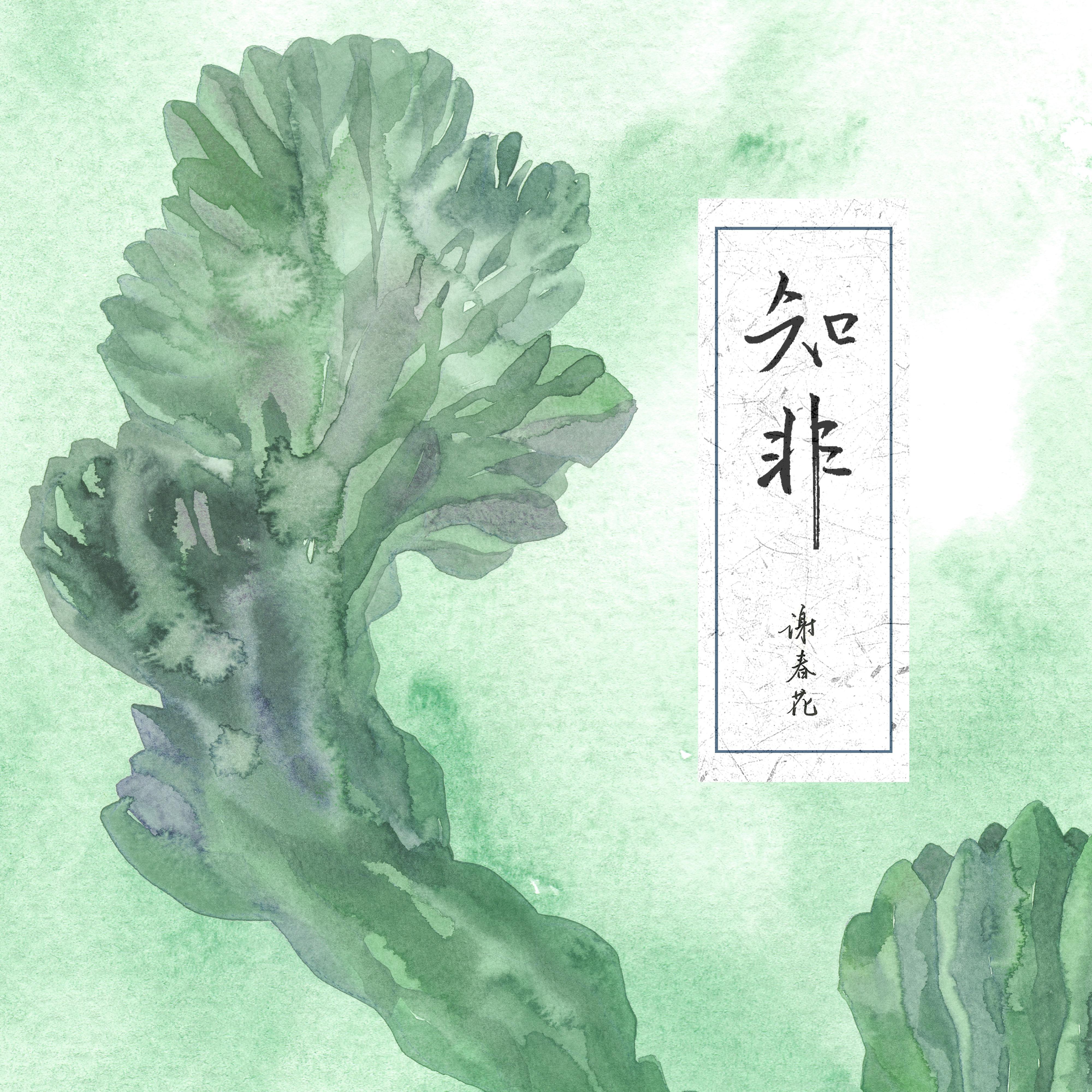 远辰落身旁 banner