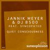 Jannik Meyer - Quiet Consciousness