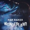Hak Baker - Wonderland (Instrumental)