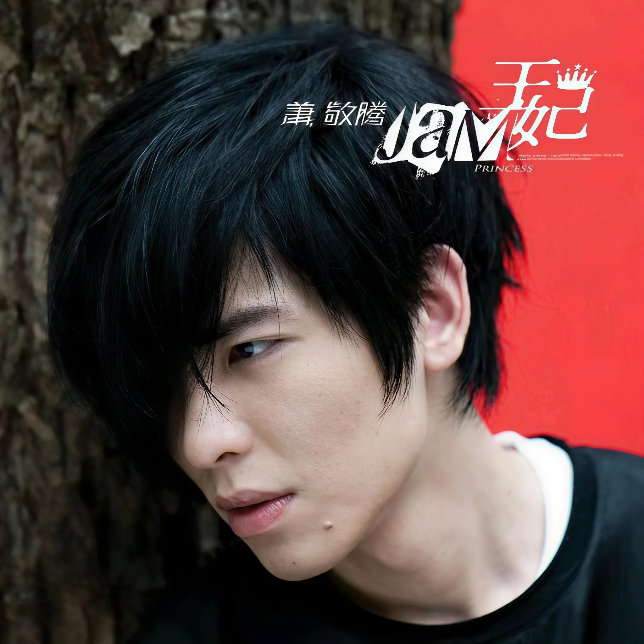 阿飛的小蝴蝶 海報