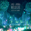 Jauz - Wildlife (KOLIDESCOPES Remix)