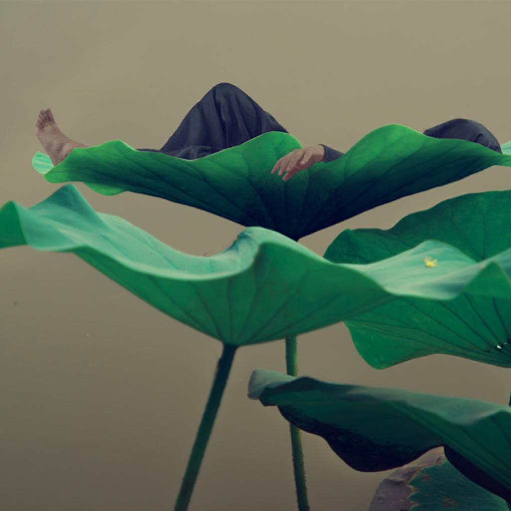 别找了找不到的