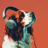 Especialistas en Música para Mascotas - Maullido Nocturno De Mascota