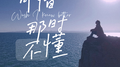 可惜那时不懂专辑