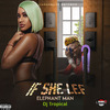 Elephant Man - If She Lef