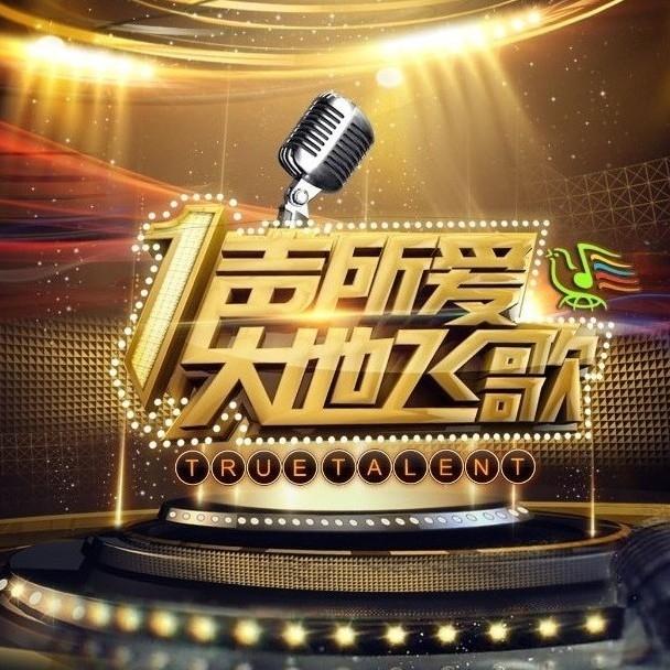 龙的传人 海报