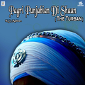 Pagri Punjabian Di Shaan