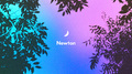 Newton专辑